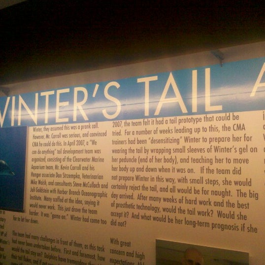 Photo taken at Winter&#39;s Dolphin Tale Adventure by Debra K. on 8/4/2012