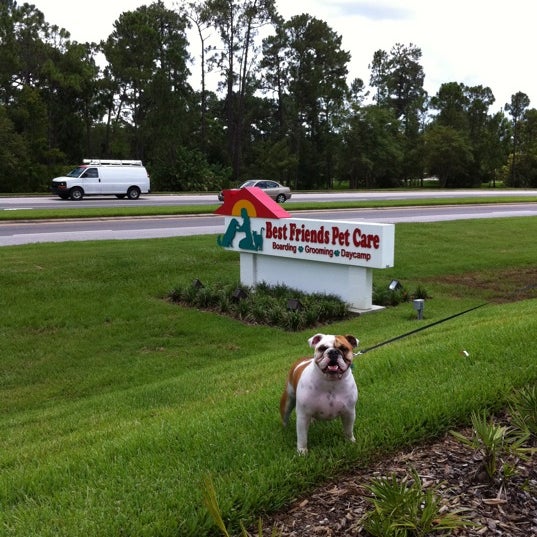 Best Friends Pet Care 19 tips