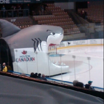 Photo taken at Worcester Sharks by Brian M. on 11/6/2011