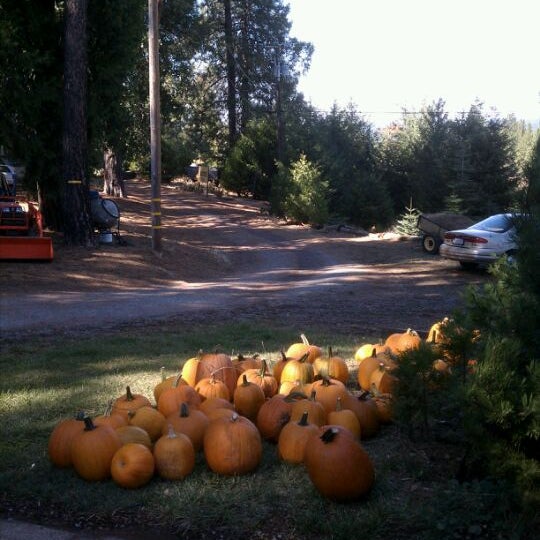 Bolster's Hilltop Ranch 1 tip from 63 visitors