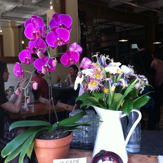 Dumbo General Store (Now Closed) DUMBO 111 Front St