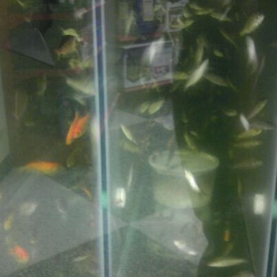 Photos At Petco Dublin Ca