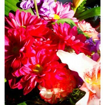 Das Foto wurde bei Suzann&#39;s Flowers von Michael M. am 4/28/2012 aufgenommen