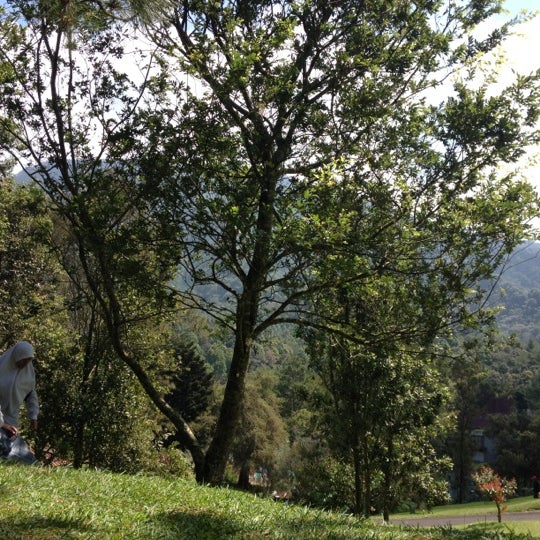 Photos A Kebun Raya Taman Wisata Cibodas Jardin Photos A Kebun Raya Taman Wisata Cibodas Jardin