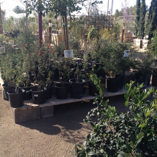 Desert Horizon Nursery Garden Center in Queen Creek