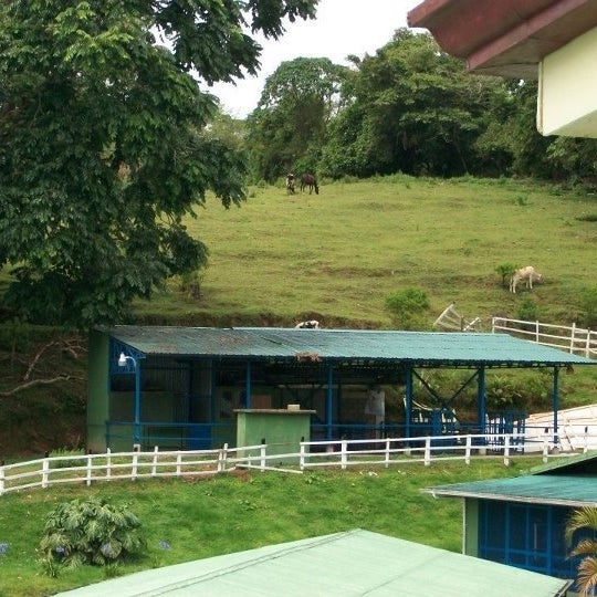 escuela de medicina veterinaria costa rica