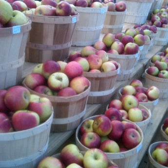 10/8/2011에 Jennifer M.님이 Applecrest Farm Orchards에서 찍은 사진