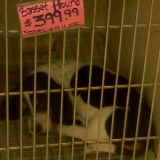 BV Aquarium Pet Supplies Store in Parkersburg