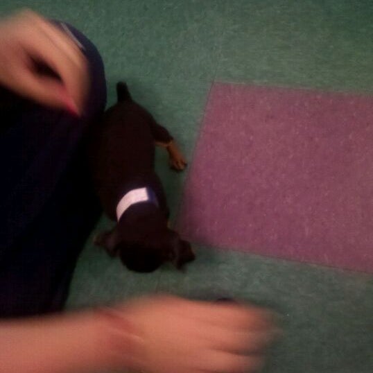 Harbor Pet Center Boardman, OH