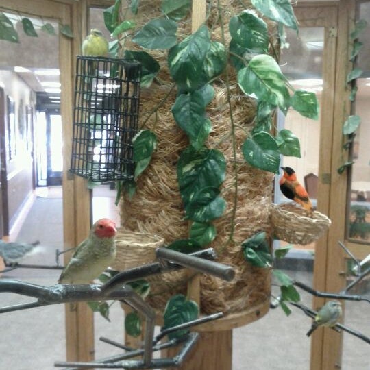 Holt Senior Care And Rehab Center, LLC Coworking Space in Holt