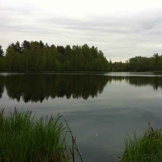 река грузинка васкелово. река грузинка ленинградская область. река грузинка 7. осельки ленинградская область озеро.
