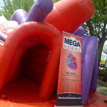 Oak Tree Village Shopping Center Shopping Plaza In Seattle