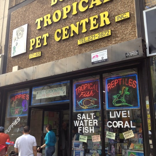 Bob s Tropical Pet Center 5 tips