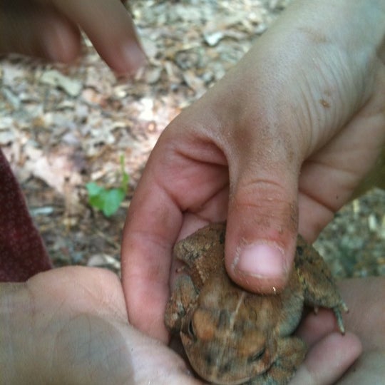 Photo taken at Reedy Creek Nature Center by Rachel G. on 4/26/2011