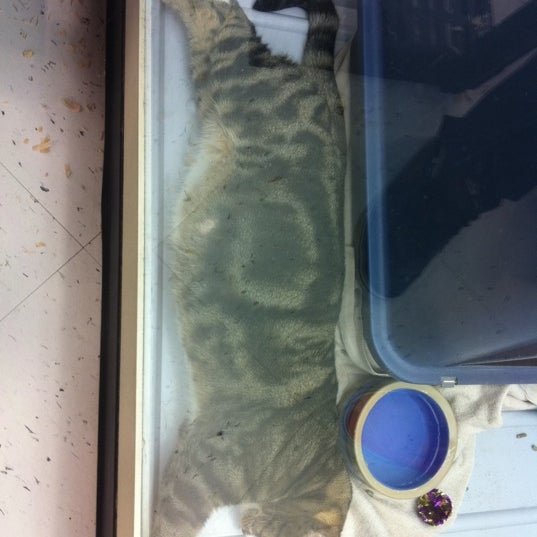 Photos at Petland College Heights 2 tips