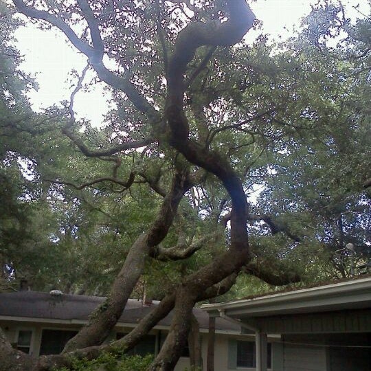 Photo taken at Jekyll Island State Park by Tiffany C. on 5/27/2012