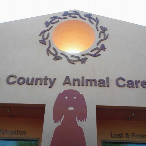 Maricopa County Animal Care & Control - 4 tips