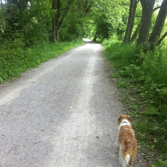 Richardson Park Bayview Parkway