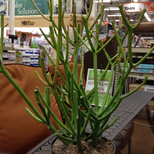 Fotos en The Home Depot Easton, PA