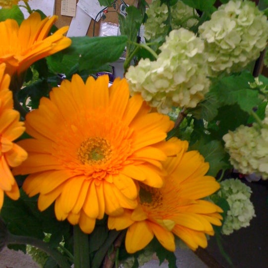 Eau Gallie Florist 1490 Highland Ave