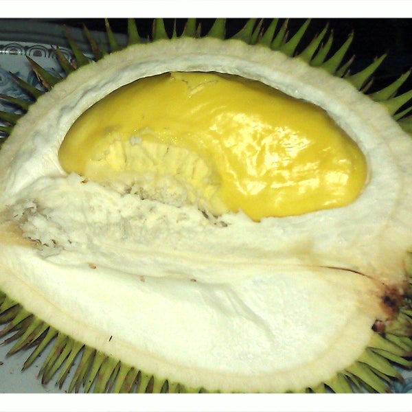 Jual durian near me