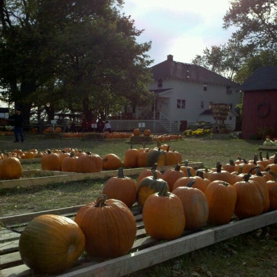Foto scattata a Fleitz Pumpkin Farm da Greg H. il 10/17/2011
