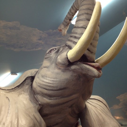 12/17/2011 tarihinde Bryan K.ziyaretçi tarafından Mister Ed&#39;s Elephant Museum &amp; Candy Emporium'de çekilen fotoğraf