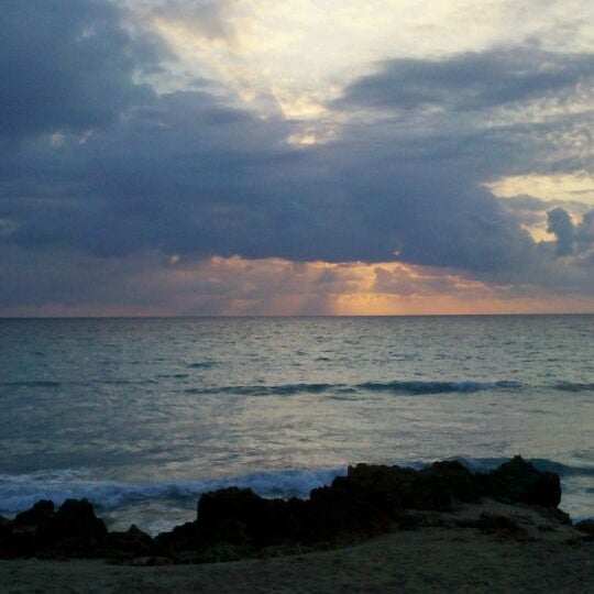 My Image 11