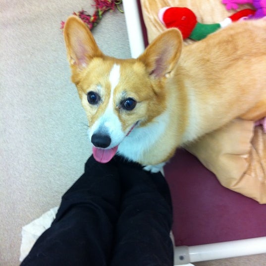 Pet Resort in the Gardens 1 tip from 19 visitors