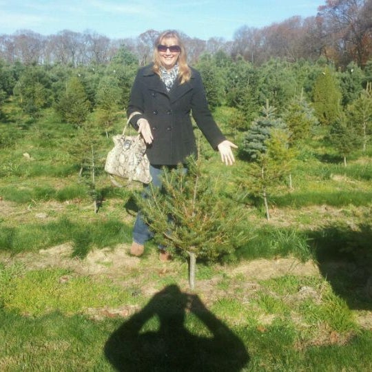 Photos At Carter Christmas Tree Farm Miller Place Ny