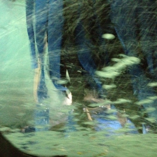 LA Express Car Wash Batavia, OH