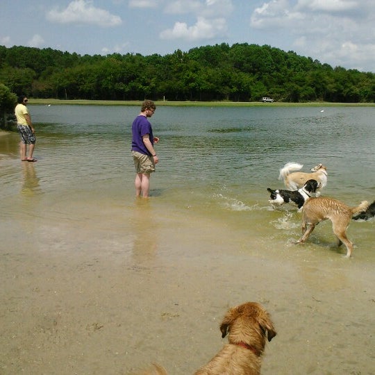 James Island County Park Dog Park James Island 9 tips