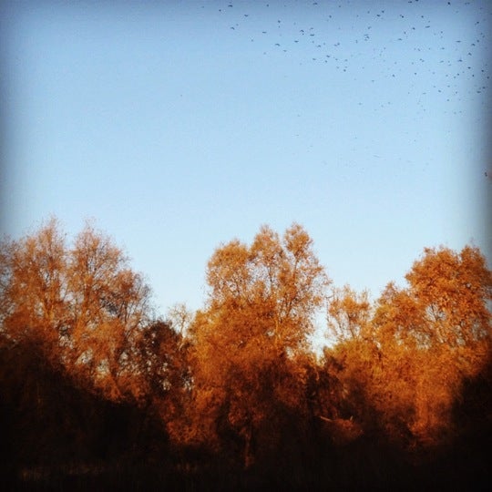 Kaweah Oaks Preserve Hiking Trail