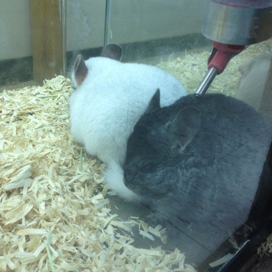 Fotos en Pet World Warehouse Outlet 2410 E Moreland Blvd