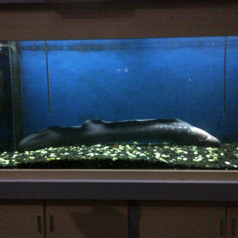 95+ Gambar Aquarium Air Laut Paling Keren 95+ Gambar Aquarium Air Laut Paling Keren