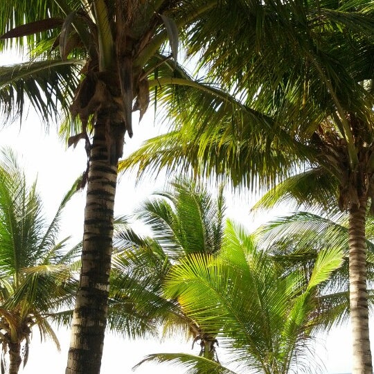 Foto diambil di The Palms at Pelican Cove oleh Holly G. pada 8/1/2012