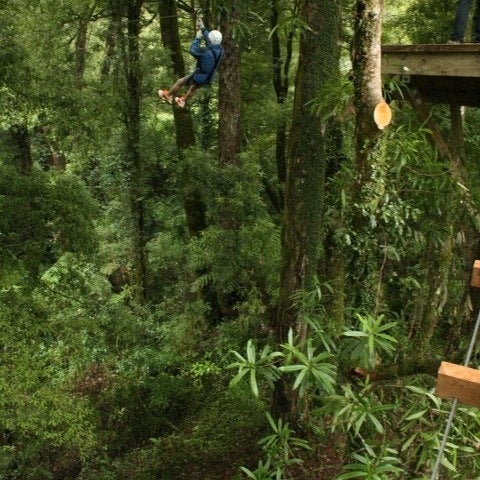 Photo taken at Rotorua Canopy Tours by Adrian H. on 8/21/2012