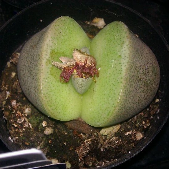 Photos at Lowe's Salt Lake City, UT