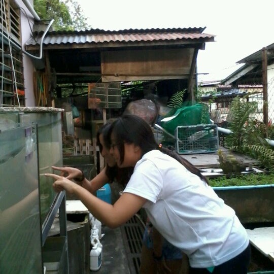 Leong S Brothers Aquarium Melaka Melaka