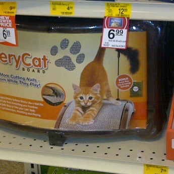 Emery cat board petsmart hot sale