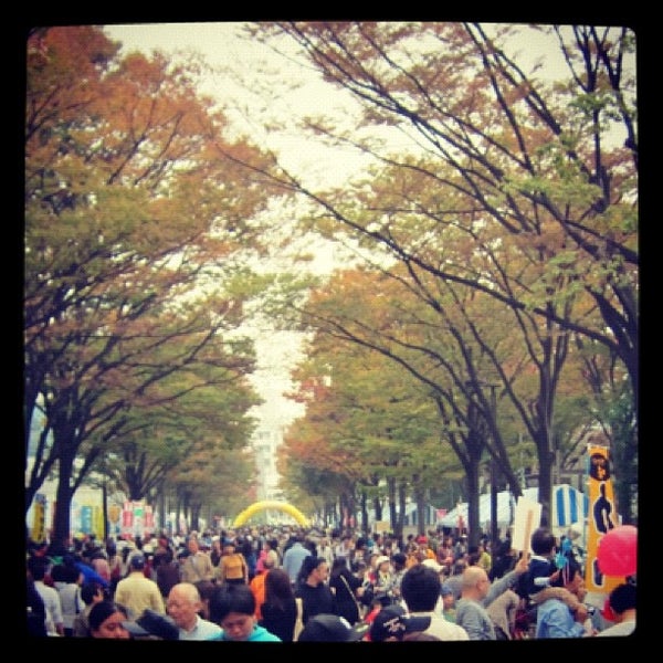 Photos At 代々木公園 ケヤキ並木 Trail In 神南