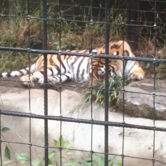 Foto scattata a Brandywine Zoo da Carrie P. il 10/10/2011