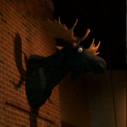 2/9/2012 tarihinde Andrew K.ziyaretçi tarafından Blue Moose'de çekilen fotoğraf
