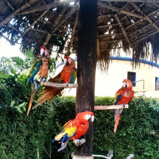 Foto tirada no(a) Zoo Parque Loro por Marilu Z. em 4/6/2012