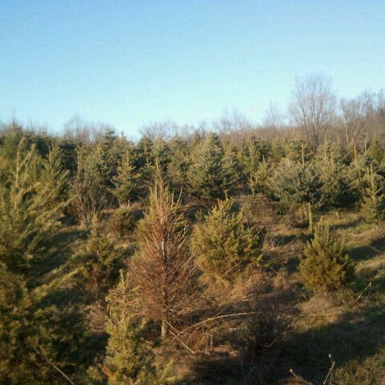 Photos at The Tree Farm At St Paul's Abbey Newton, NJ