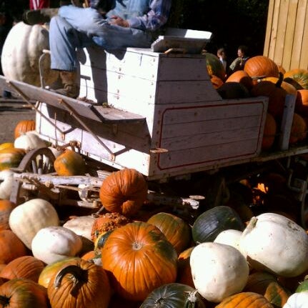 Photo taken at Vala&#39;s Pumpkin Patch &amp; Apple Orchard by Dan H. on 10/21/2011