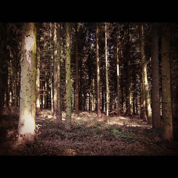 Brasilianerin Bruste Wald Onanieren