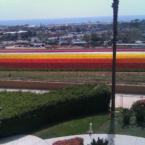 Photo taken at Grand Pacific Palisades Resort by Mel S. on 5/5/2012