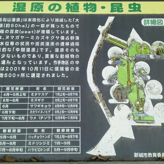 Photos At 清岳向山湿原 新城市 愛知県 Photos At 清岳向山湿原 新城市 愛知県