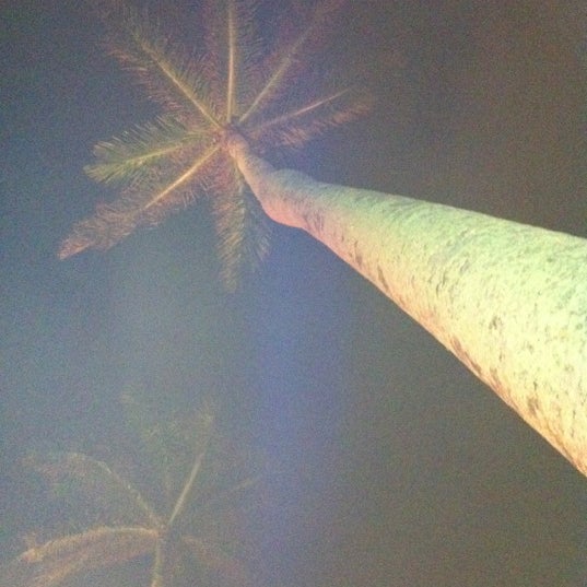 Photo prise au Testa&#39;s Palm Beach par Joe M. le2/18/2012